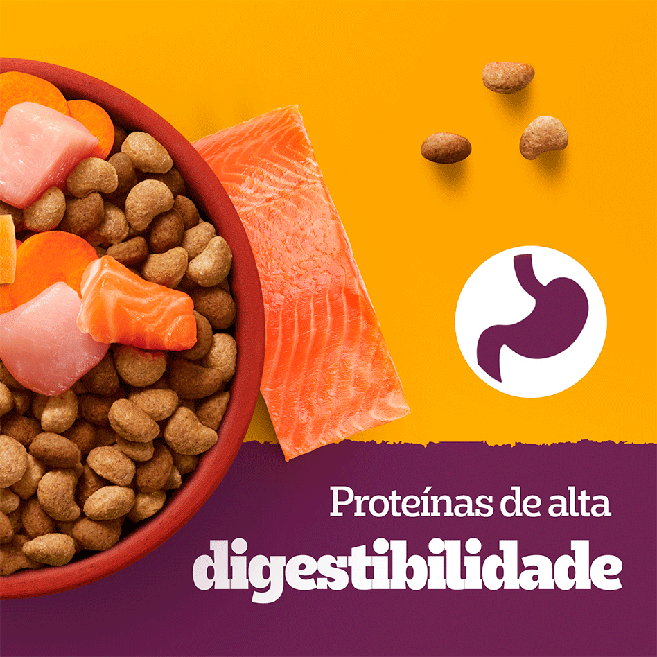 Ração Seca Pedigree Barriguinha Saudável para Cães Adultos Raças Pequenas e Minis sabor Peru - 2,7Kg