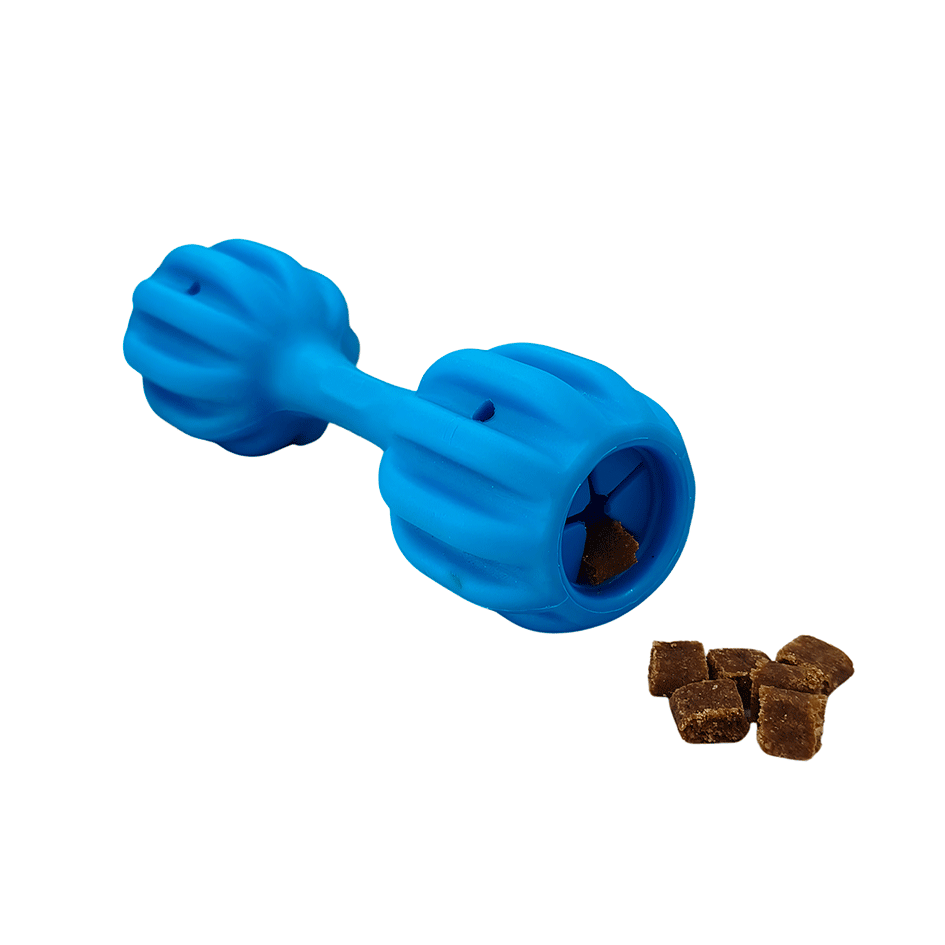 Brinquedo Amicus Fun Toys Pet Fit Azul - Tam. M/G