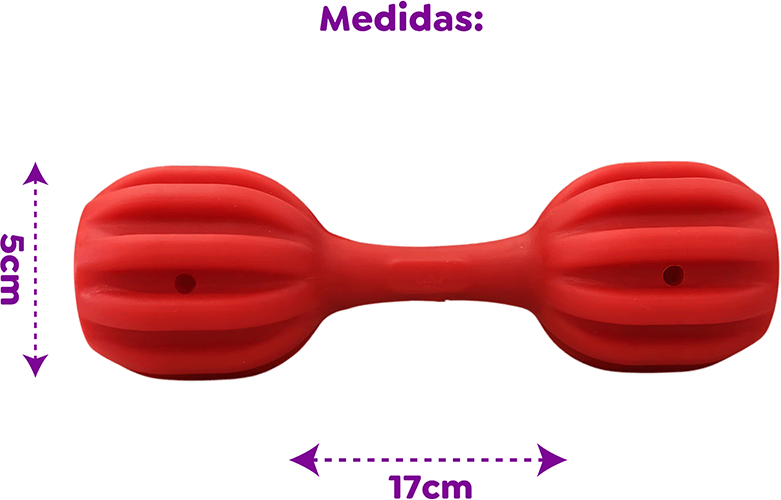 Brinquedo Amicus Fun Toys Pet Fit Vermelho - Tam. Único