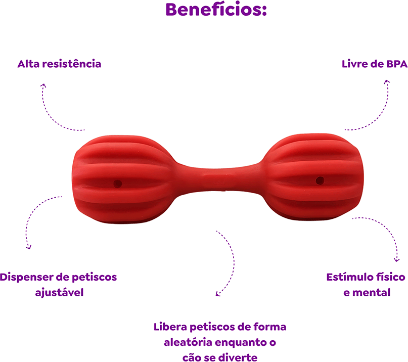 Brinquedo Amicus Fun Toys Pet Fit Vermelho - Tam. Único