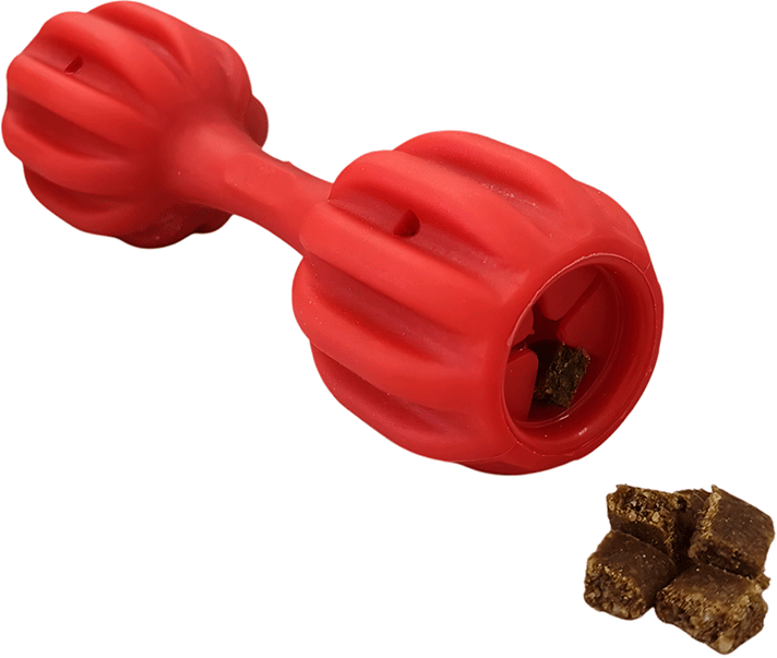 Brinquedo Amicus Fun Toys Pet Fit Vermelho - Tam. Único