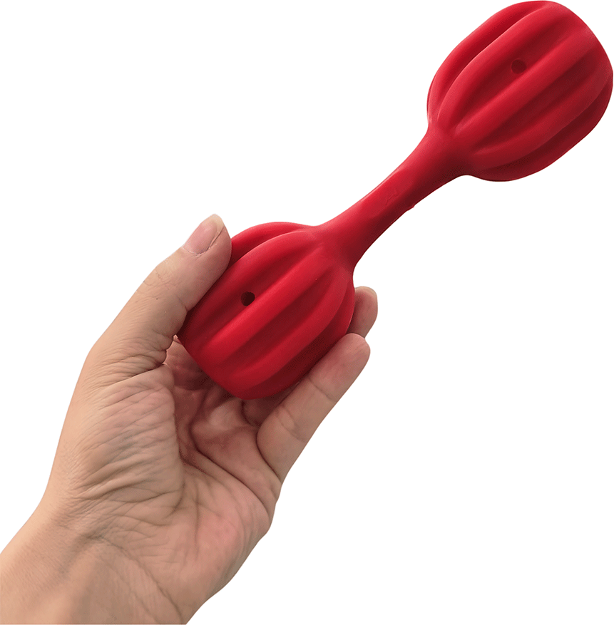 Brinquedo Amicus Fun Toys Pet Fit Vermelho - Tam. Único