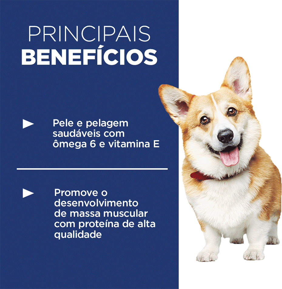 Ração Seca Hill's Science Diet Pedaços Pequenos para Cães Adultos - 6,8Kg