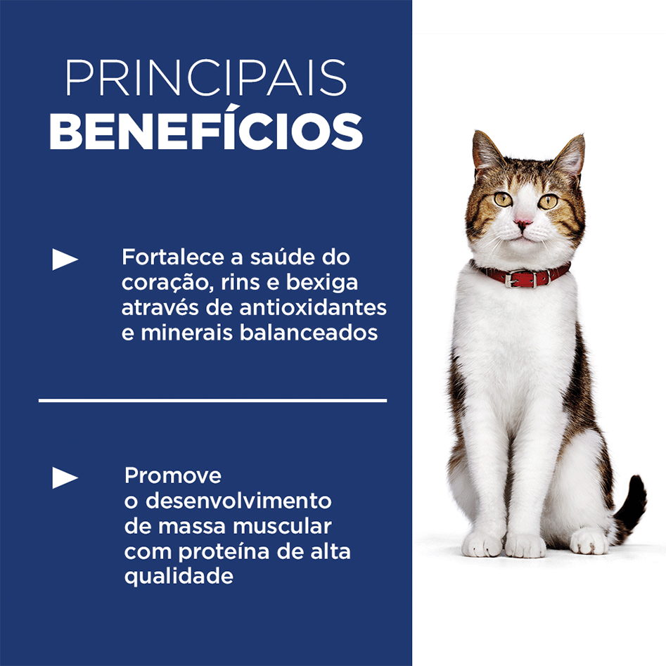 Ração Seca Hill's Science Diet Longevidade Ativa para Gatos Adultos 7+ - 3,17Kg