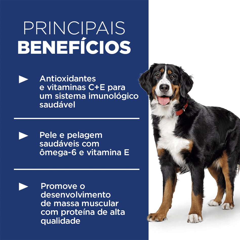Ração Seca Hill's Science Diet para Cães Adultos Raças Grandes - 12,02Kg