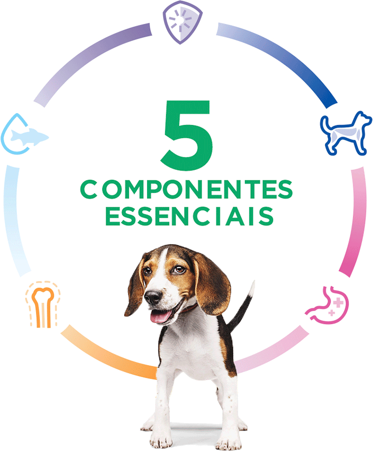 Ração Seca Hill's Science Diet para Cães Filhotes - 7,03Kg