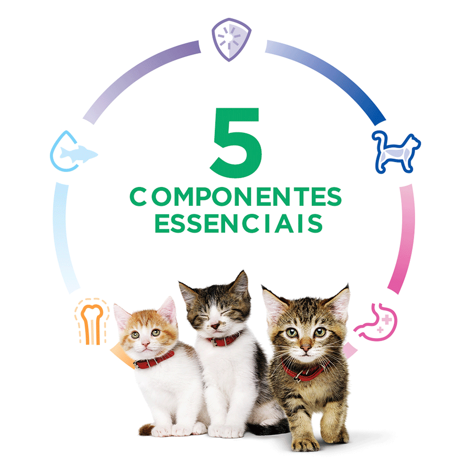 Ração Seca Hill's Science Diet para Gatos Filhotes - 1,59Kg