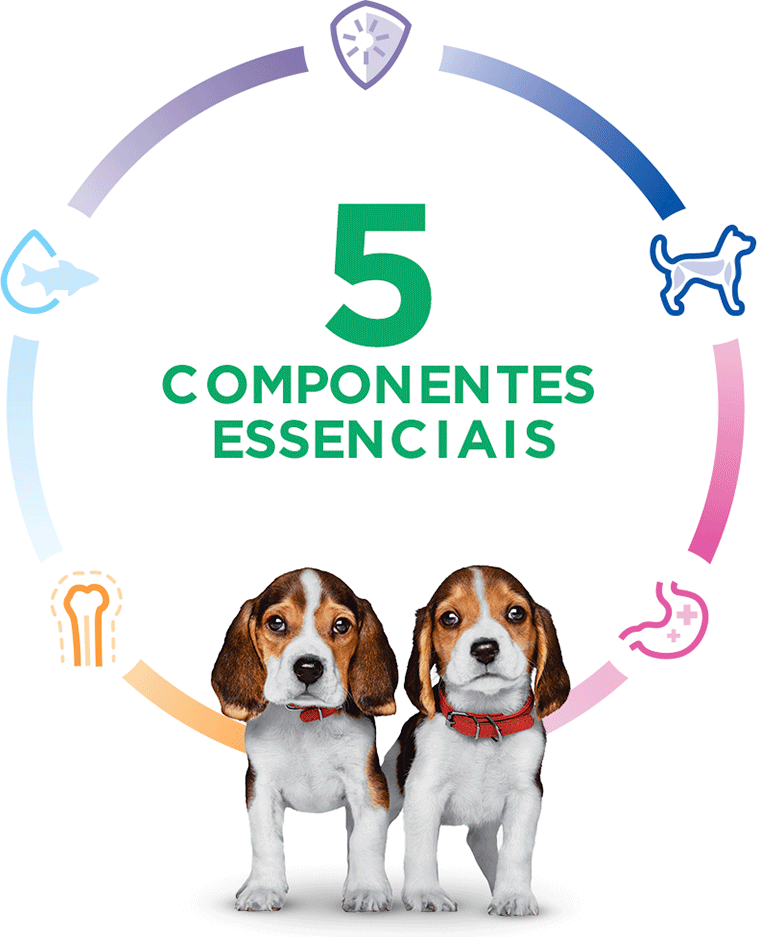 Ração Seca Hill's Science Diet Pedaços Pequenos para Cães Filhotes - 2,04Kg