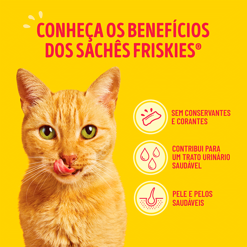 Ração Úmida Friskies Megamix para Gatos Adultos - 80 g