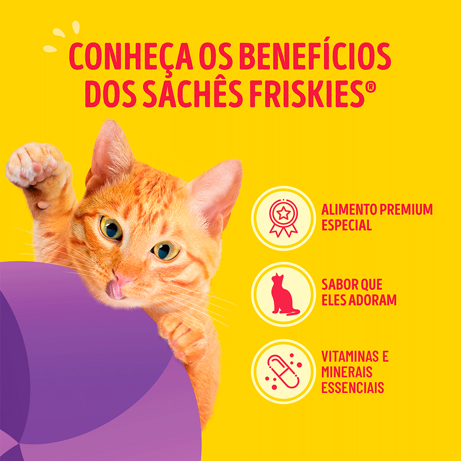 Ração Úmida Friskies Megamix para Gatos Adultos - 80 g