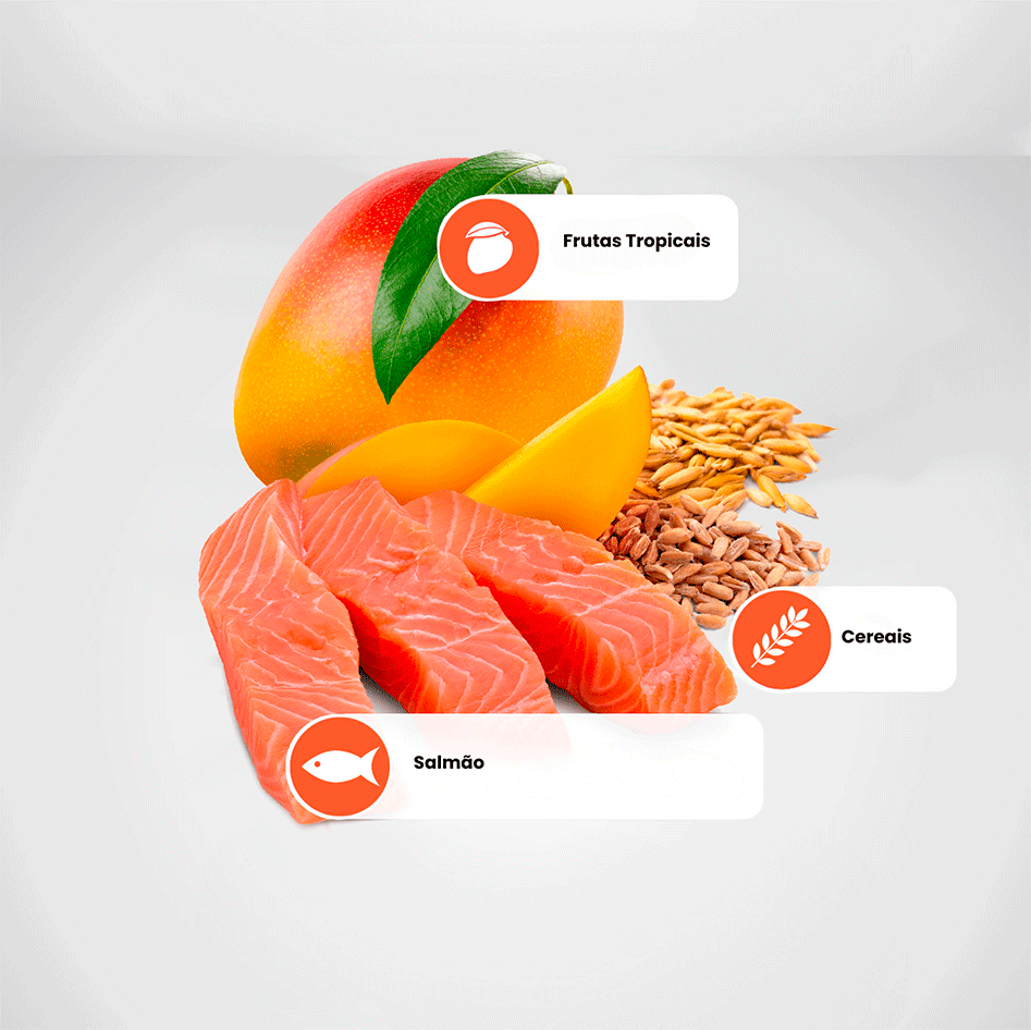 Ração Seca N&D Tropical Selection Salmão, Cereais e Frutas Tropicais para Cães Adultos de Raças Minis - 2Kg + 500 g