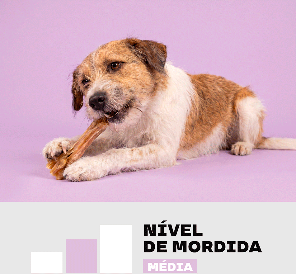 Petisco Mastigável True Chews Tendão Bovino para Cães - 5 Unidades