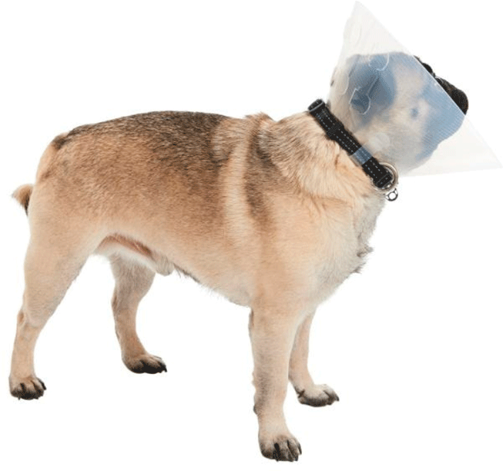 Colar Elizabetano Kruuse Buster Braquicefálico - Tam. P