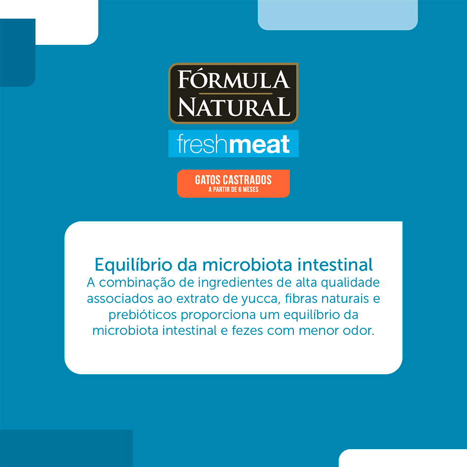 Ração Seca Fórmula Natural Fresh Meat Salmão para Gatos Castrados - 1Kg