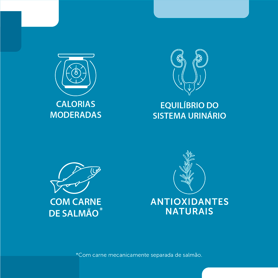 Ração Seca Fórmula Natural Fresh Meat Salmão para Gatos Castrados - 1Kg