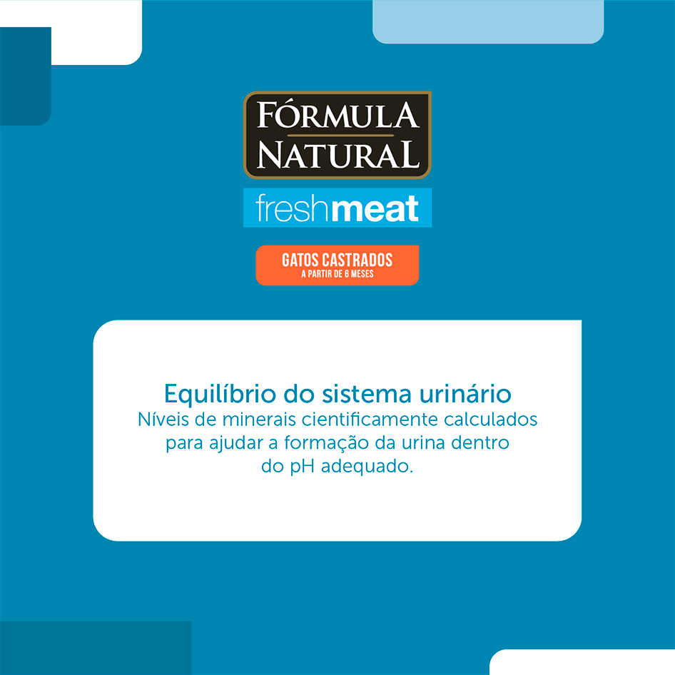 Ração Seca Fórmula Natural Fresh Meat Salmão para Gatos Castrados - 1Kg