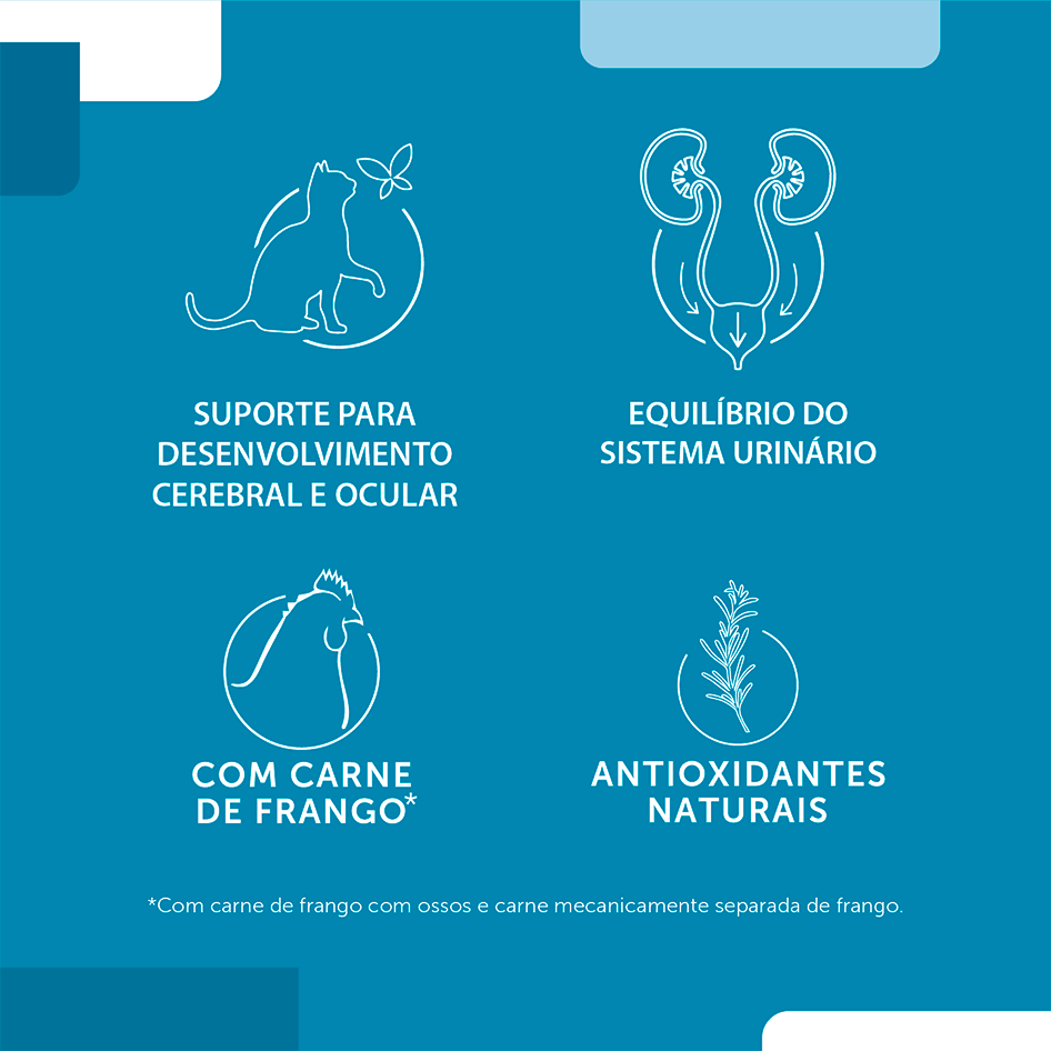Ração Seca Fórmula Natural Fresh Meat Gatos Filhotes - 1Kg