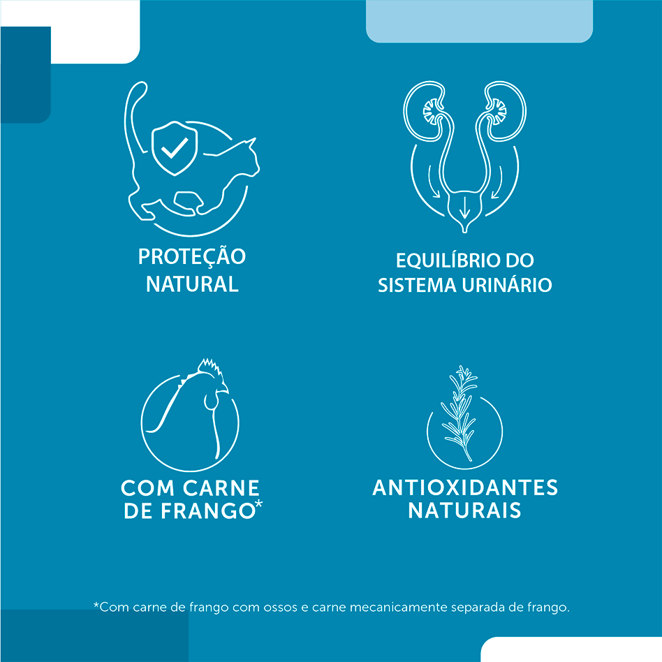 Ração Seca Fórmula Natural Fresh Meat Gatos Sênior - 1Kg