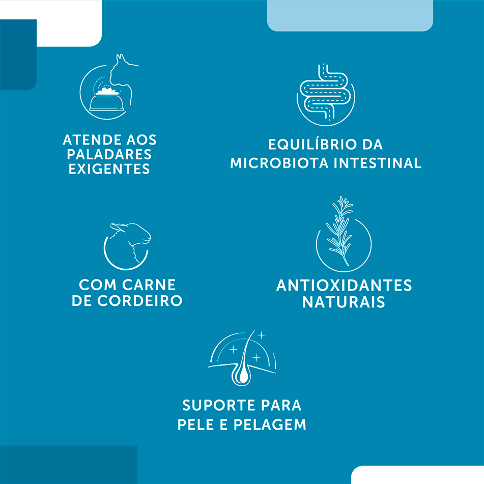 Ração Seca Fórmula Natural Fresh Meat Sensitive Cães Adultos Portes Mini e Pequeno - 2,5Kg