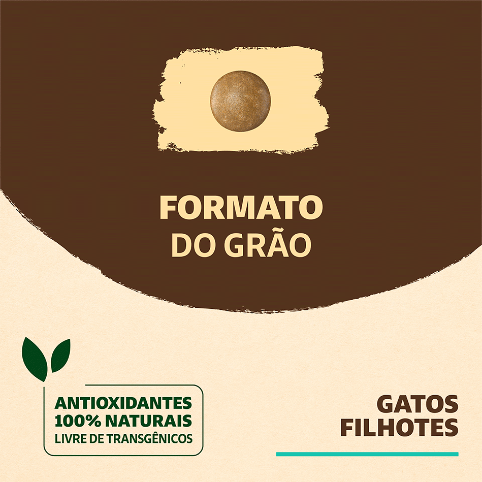 Ração Seca Quatree Supreme Salmão e Arroz Gatos Filhotes - 10,1Kg