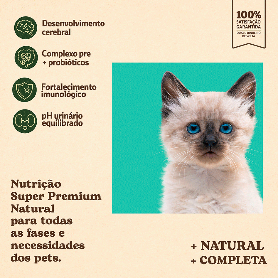 Ração Seca Quatree Supreme Salmão e Arroz Gatos Filhotes - 10,1Kg
