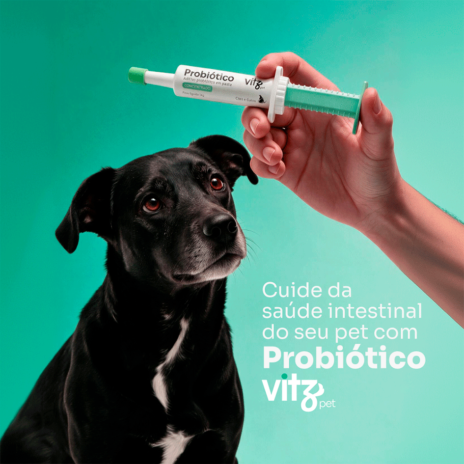 Suplemento Probiótico Vitz Pet Pasta para Cães e Gatos - 14g