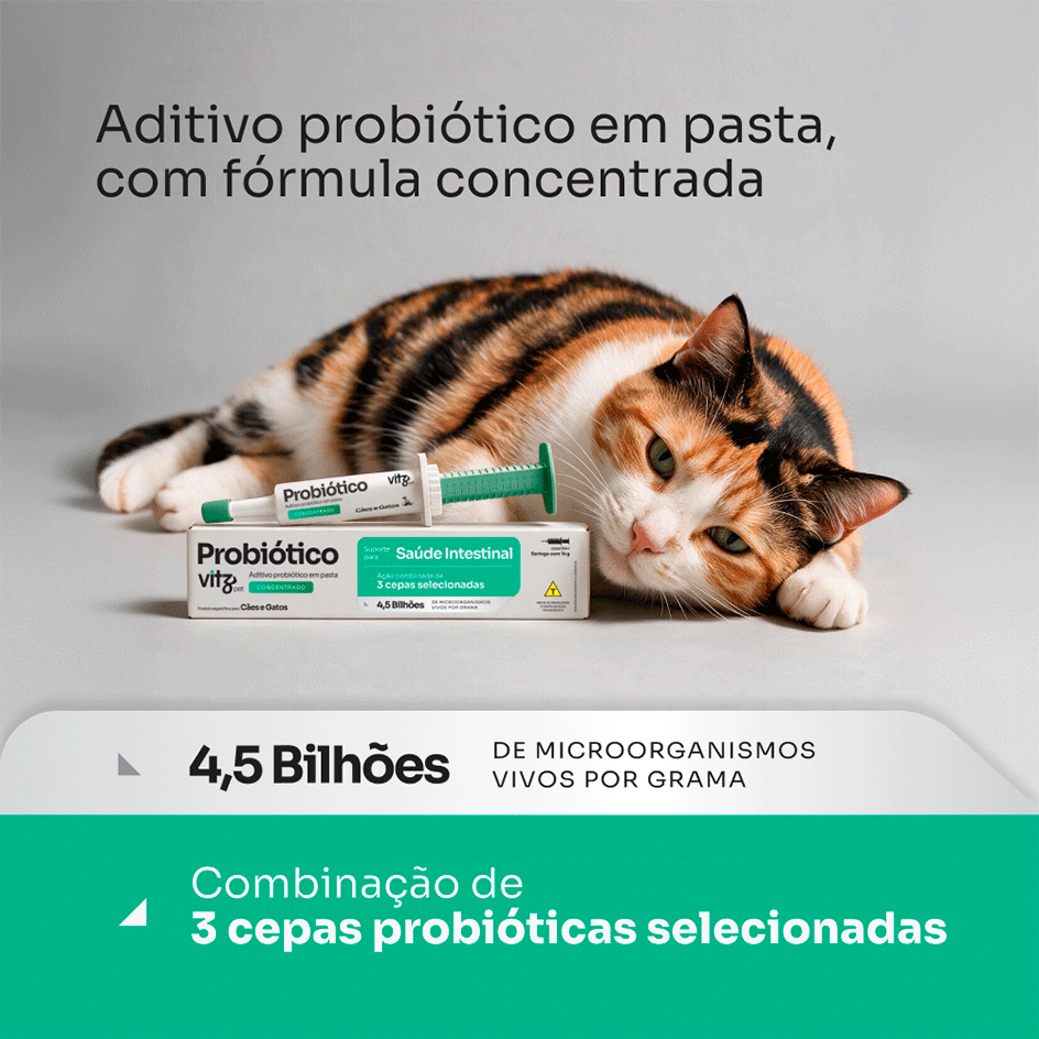 Suplemento Probiótico Vitz Pet Pasta para Cães e Gatos - 14g
