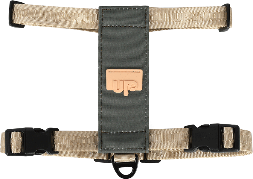 Peitoral, Mochila e Guia Up4you Pet Verde para Cães - Tam. G