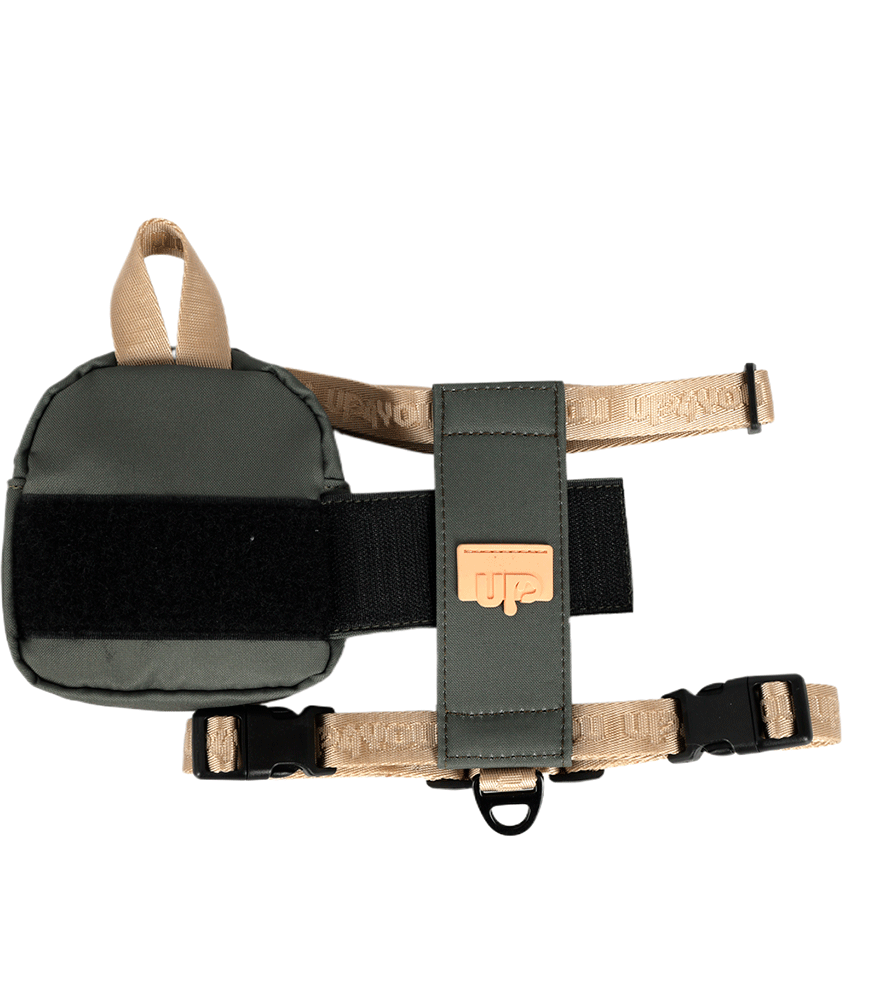 Peitoral, Mochila e Guia Up4you Pet Verde para Cães - Tam. G
