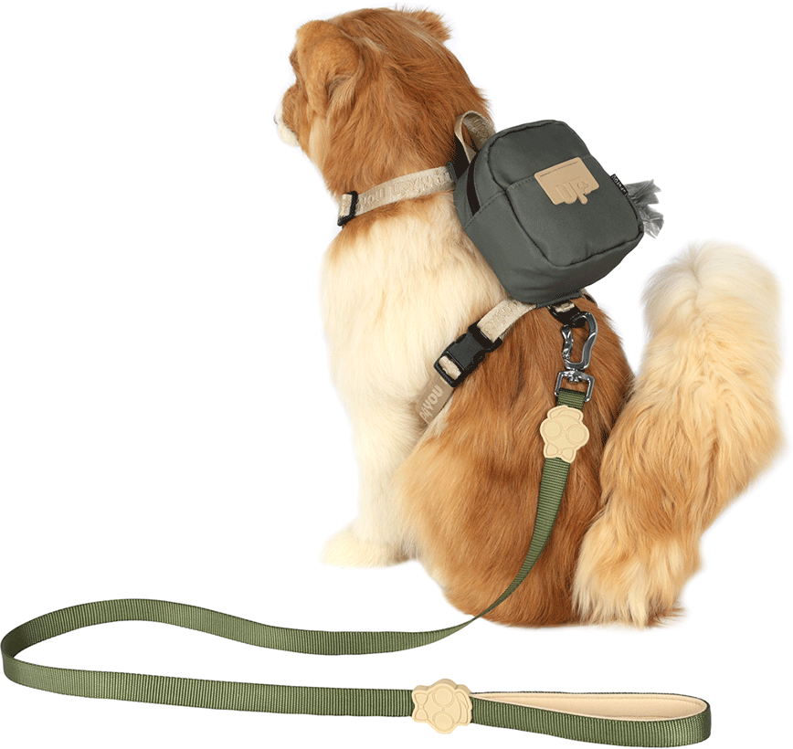Peitoral, Mochila e Guia Up4you Pet Verde para Cães - Tam. G