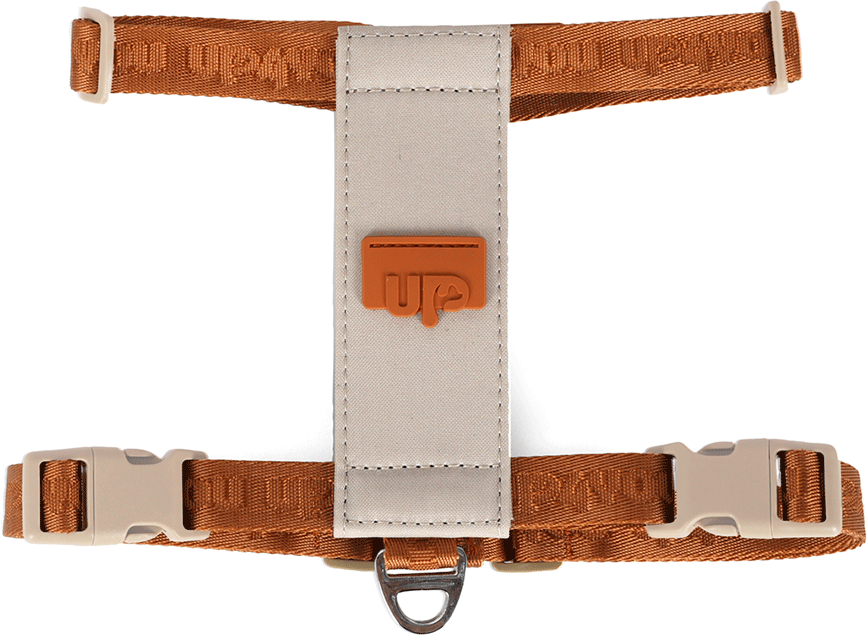 Peitoral, Mochila e Guia Up4you Pet Bege para Cães - Tam. P
