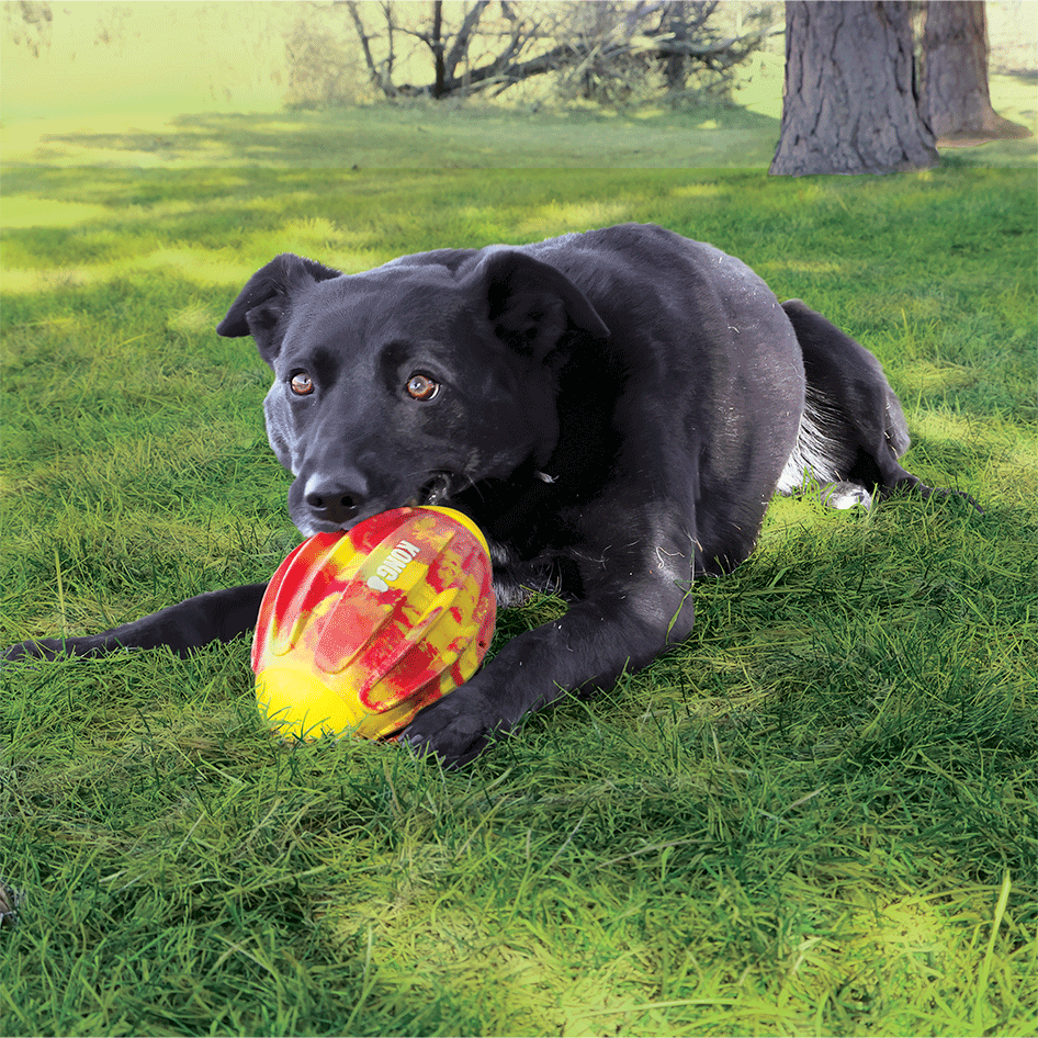 Brinquedo Mordedor Kong FlexBall Sport Football para Cães - Tam. M