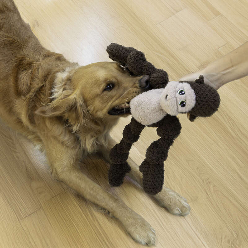 Brinquedo Pelúcia Kong Knots Macaco para Cães - Tam. G