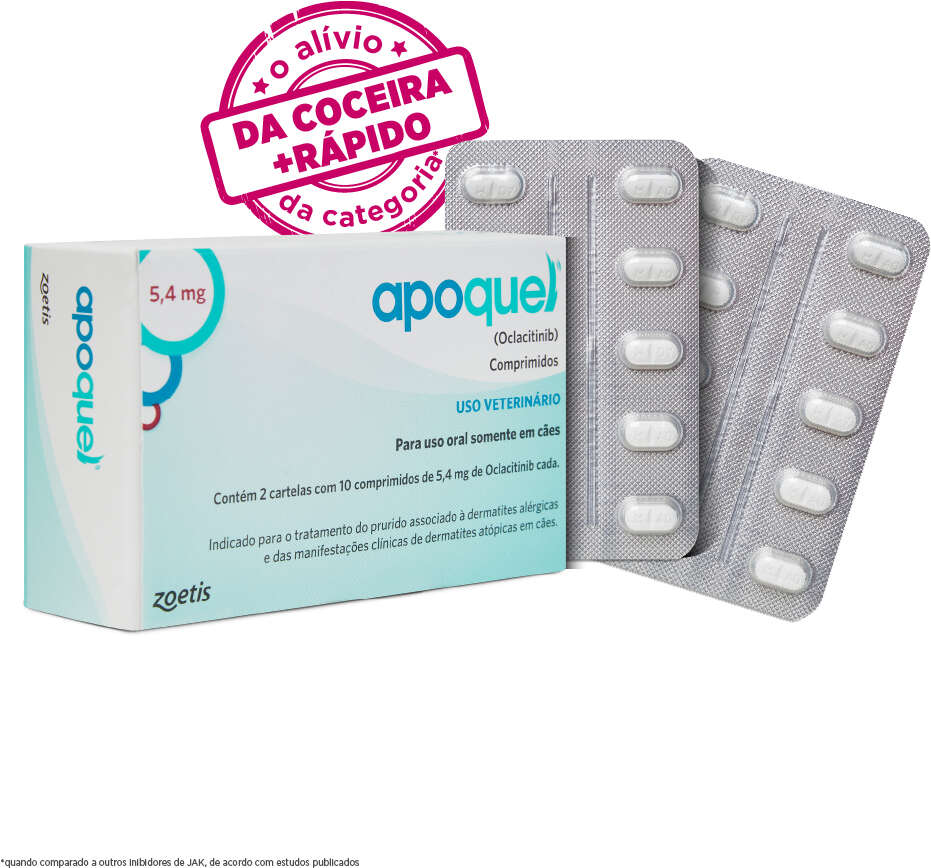 Apoquel Dermatológico Zoetis para Cães - 5,4 mg