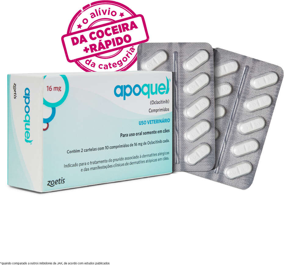 Tratamento para Coceira Apoquel 16mg