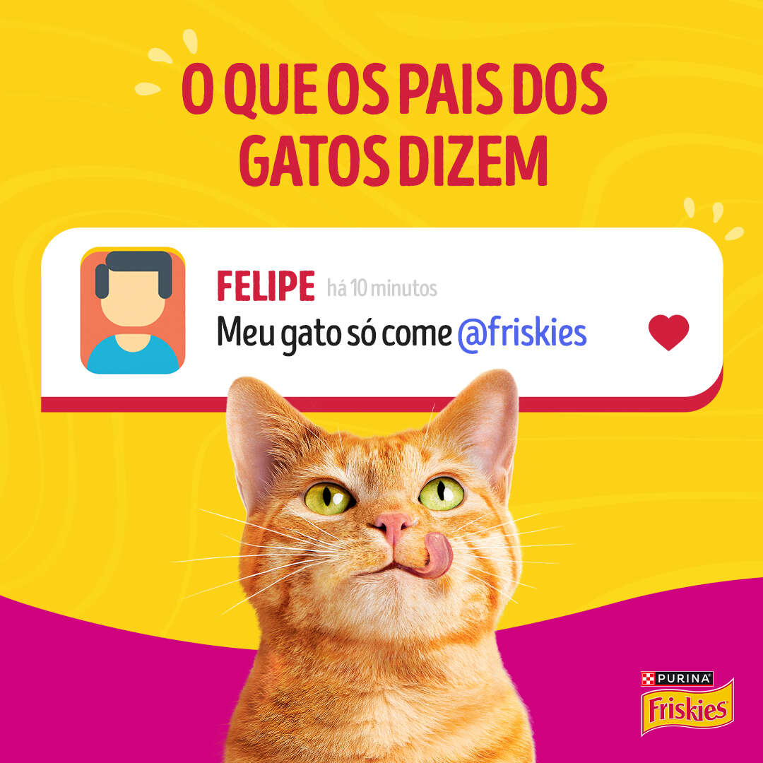 Ração Úmida Purina Friskies Patê Sensações para Gatos Adultos Sabor Carne - 75 g