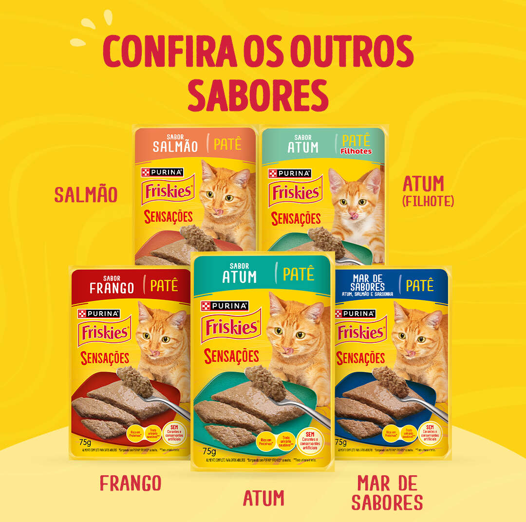 Ração Úmida Purina Friskies Patê Sensações para Gatos Adultos Sabor Carne - 75 g