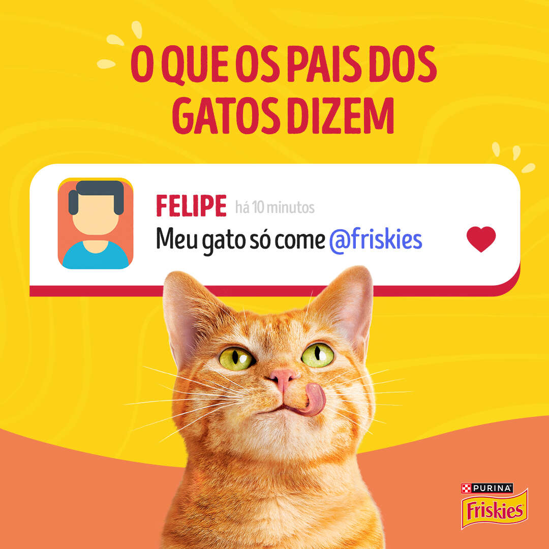 Ração Úmida Purina Friskies Patê Sensações para Gatos Adultos Sabor Salmão - 75 g