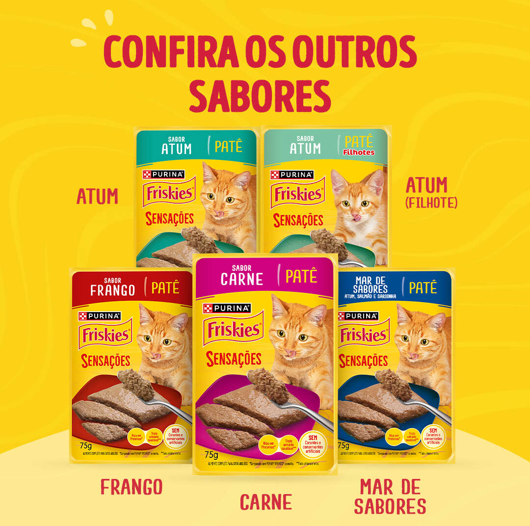 Ração Úmida Purina Friskies Patê Sensações para Gatos Adultos Sabor Salmão - 75 g