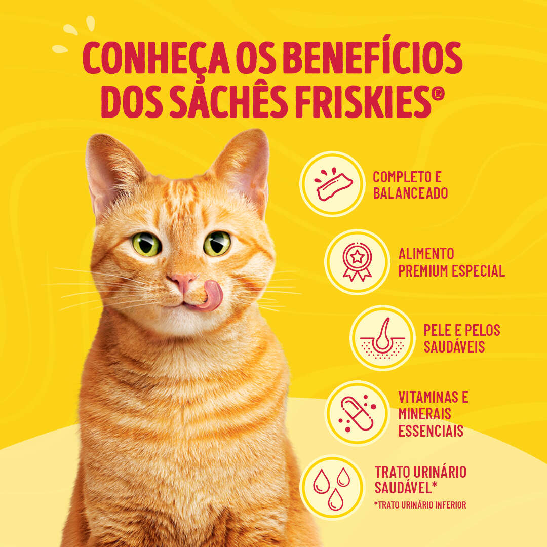Ração Úmida Purina Friskies Patê Sensações para Gatos Adultos Sabor Mar de Sabores - 75 g