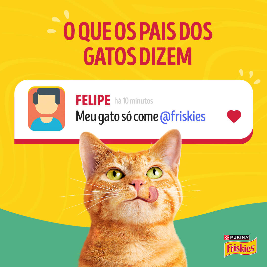 Ração Úmida Purina Friskies Patê Sensações para Gatos Filhotes Sabor Atum - 75 g