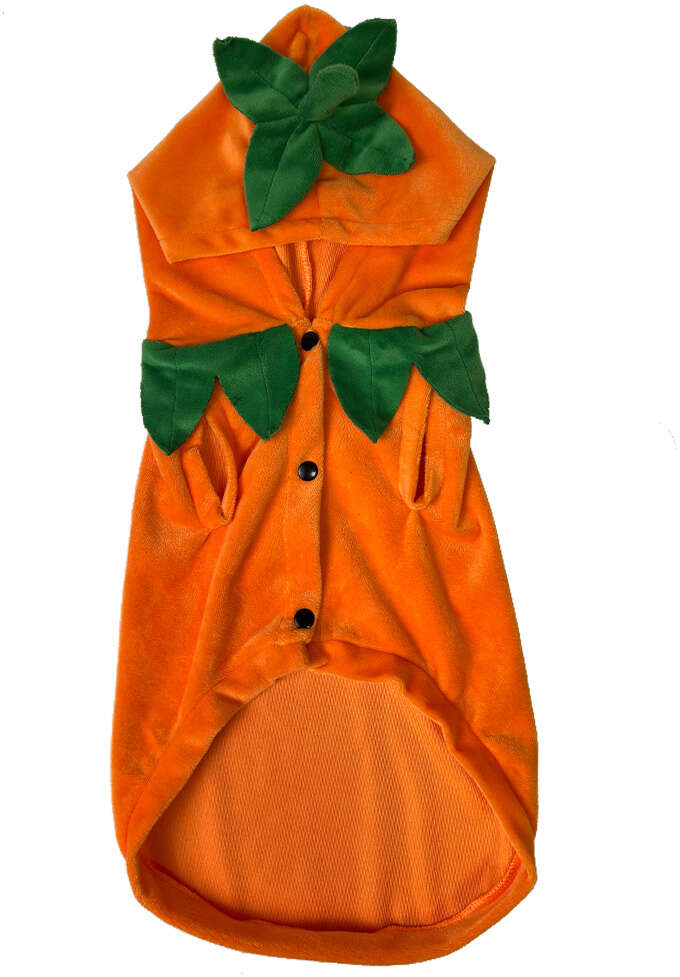 Fantasia Meau Halloween Abóbora - Tam. GG