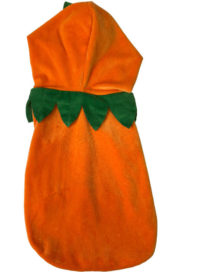 Fantasia Meau Halloween Abóbora - Tam. GG