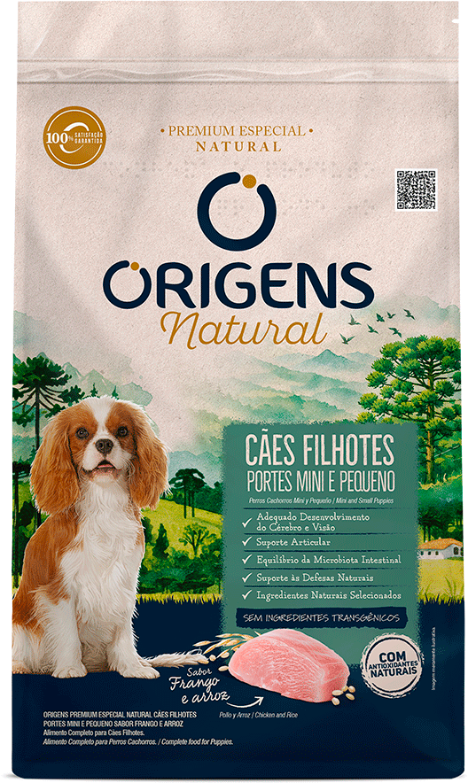 Ração Seca Origens Natural para Cães Filhotes Raças Mini e Pequena sabor Frango e Arroz - 10,1Kg