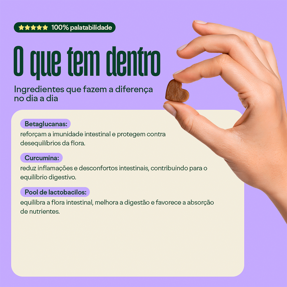 Suplemento Alimentar Wigow Probiótico para Cães - 100 Unidades