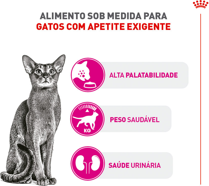 Ração Royal Canin Exigent para Gatos Adultos com Paladar Exigente - 400 g