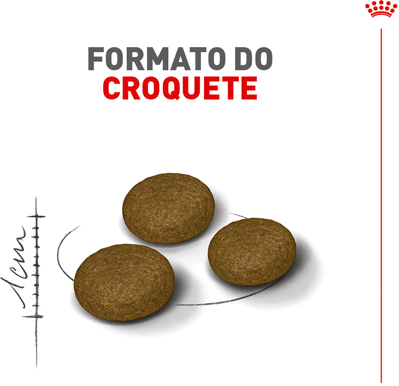 Ração Royal Canin Exigent para Gatos Adultos com Paladar Exigente - 400 g