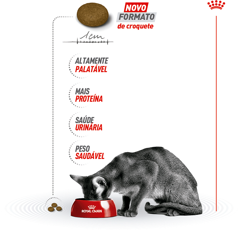 Ração Royal Canin Exigent para Gatos Adultos com Paladar Exigente - 400 g
