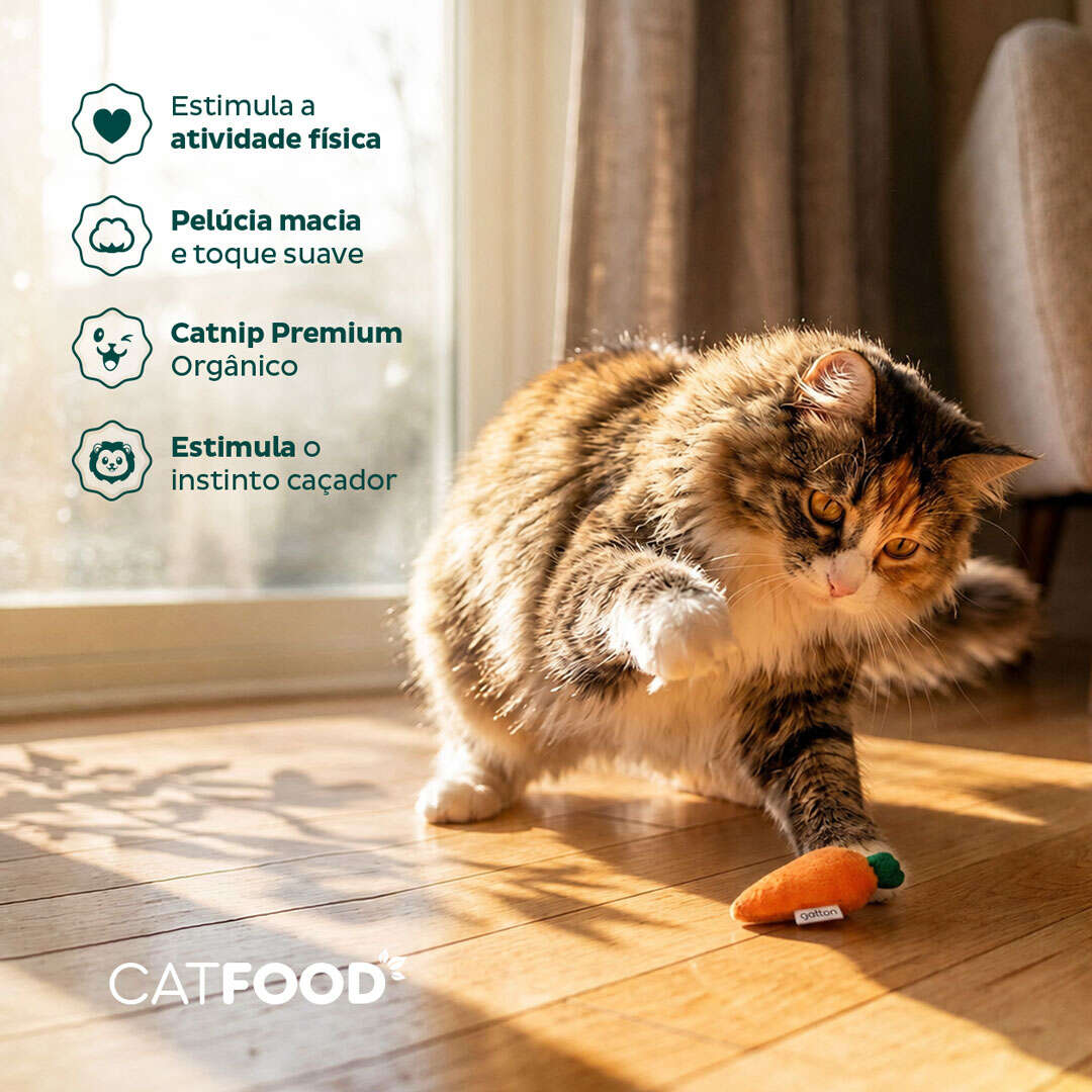 Brinquedo Pelúcia Banana e Cenoura com Catnip para Gatos - Tam. Único
