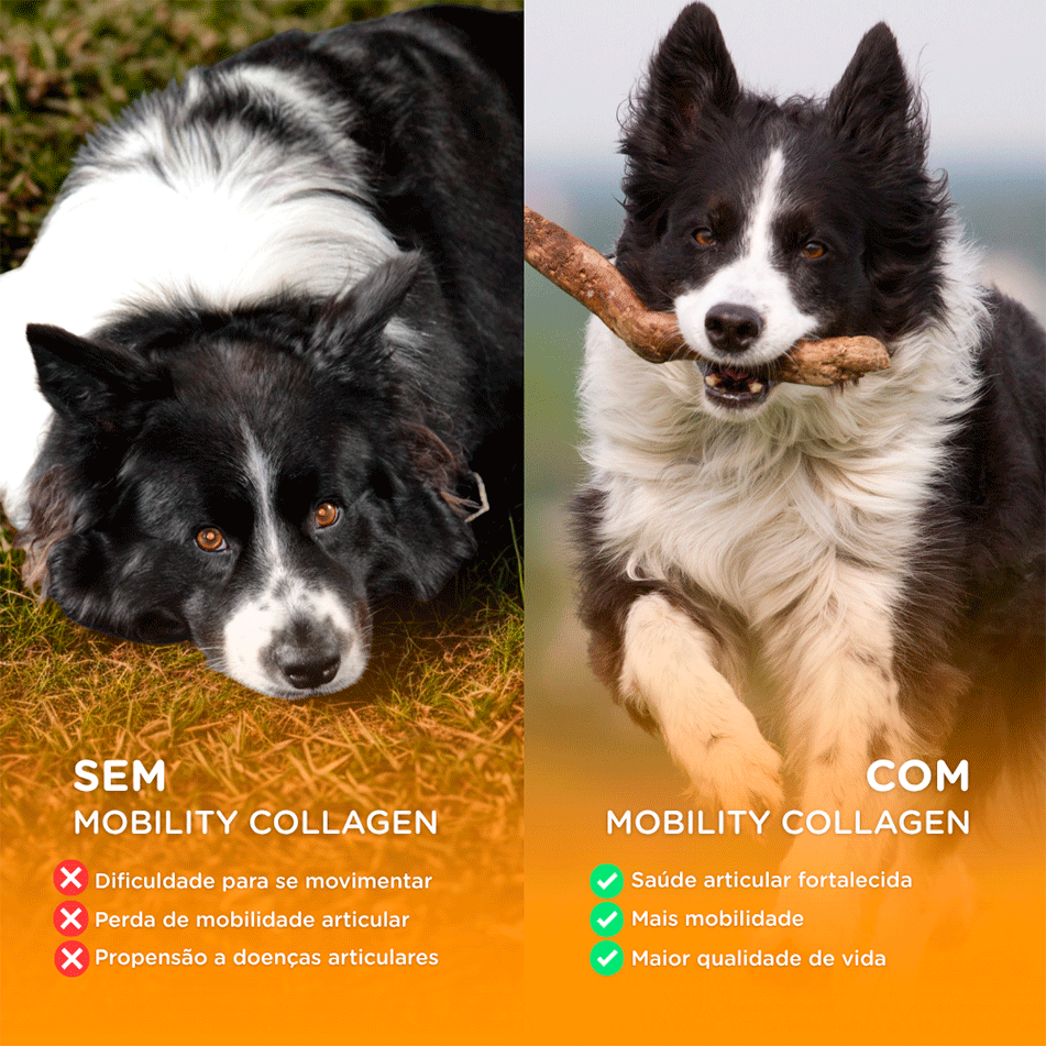 Suplemento Alimentar Soft Care Nutri Mobility Collagen para Cães e Gatos - 30 Cápsulas